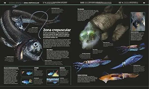 Dk Oceanos El Planeta Bajo El Agua (tapa Dura)