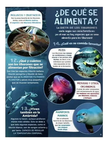 Todo Sobre Los Tiburones (tapa Dura) / Lexus