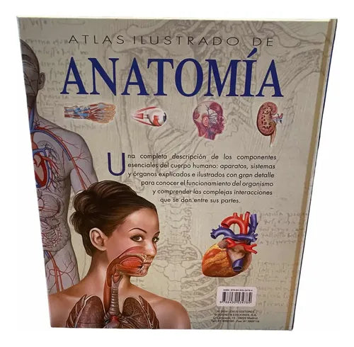 Atlas Ilustrado De Anatomia (tapa Dura) / Lexus