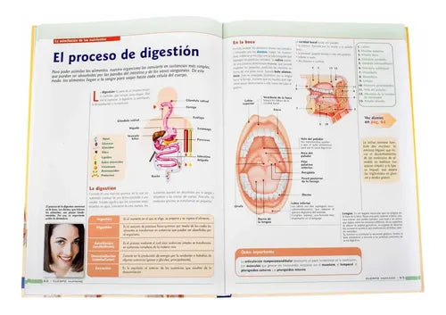 El Cuerpo Humano Fisiologia Y Anatomia / Lexus