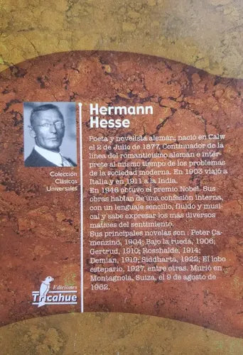 Demian / Hermann Hesse