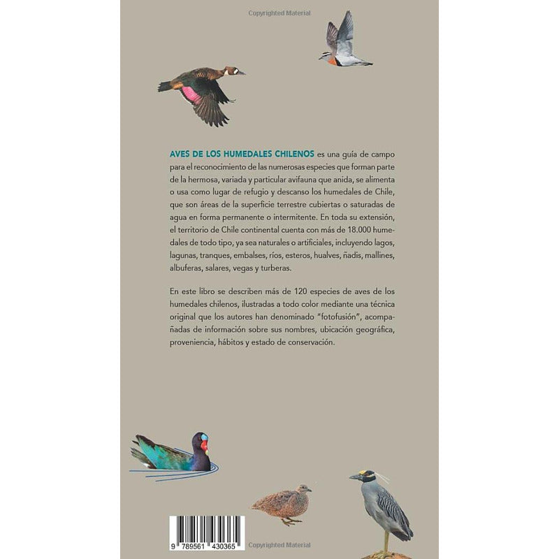 Aves De Los Humedales Chilenos Guia De Campo / Rosso Alvarez