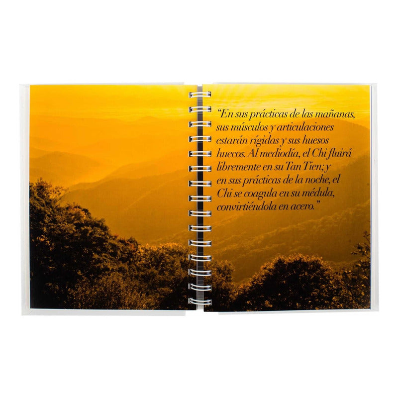 Taichi Guía Práctica / Mark Green