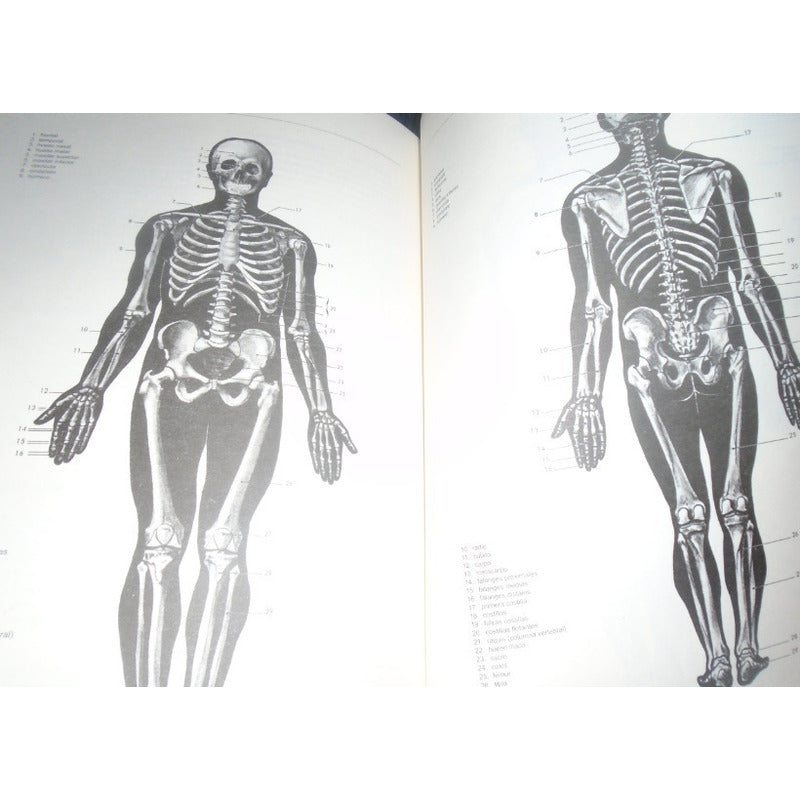 Manual De La Vida Salvaje Revivir Con La Naturaleza / Saury