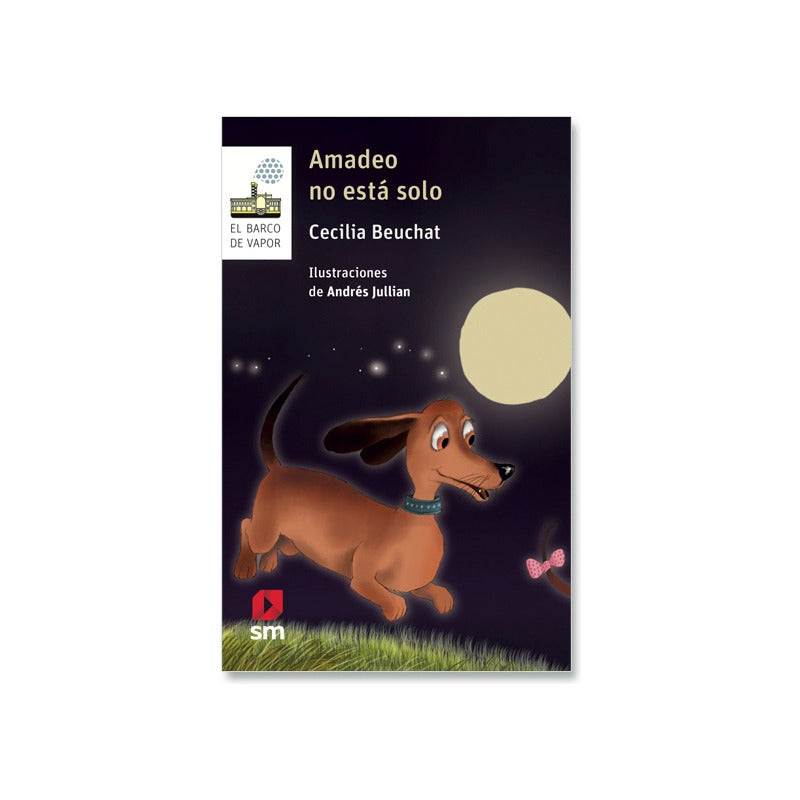 Amadeo No Esta Solo / Cecilia Beuchat