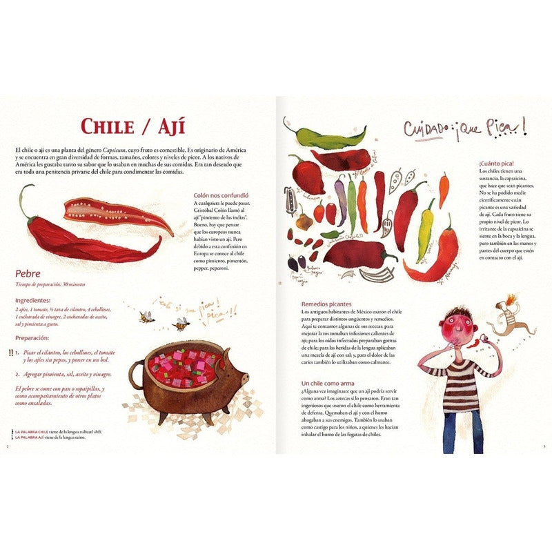 Sabores De América (tapa Dura) / Pavez Y Recart