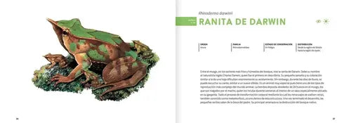 Historia Natural De Los Animales Del Bosque (td) / Charrier
