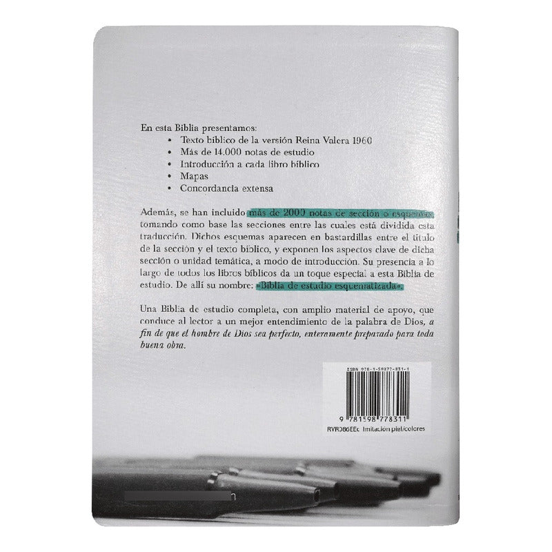 Biblia De Estudio Esquematizada / Sbu