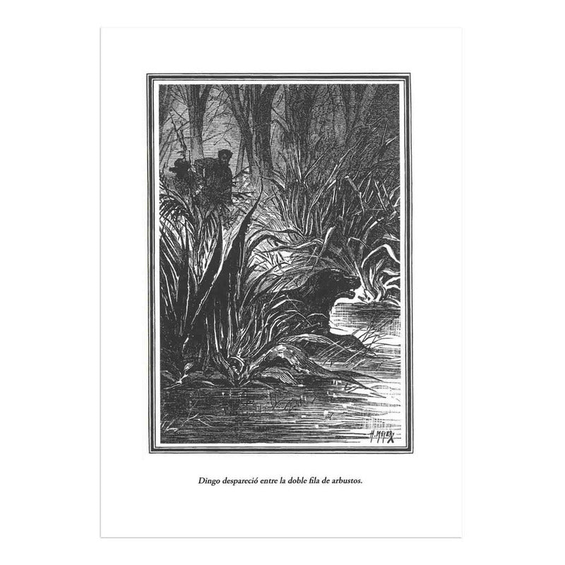 Un Capitán De Quince Años (tapa Dura) / Julio Verne