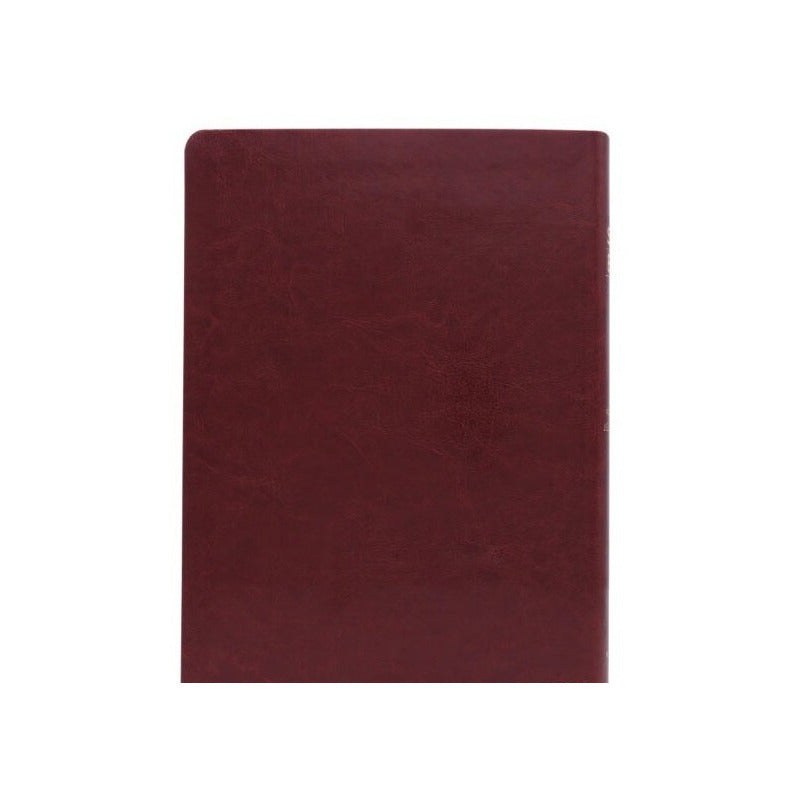 Santa Biblia Rvr 1960 Letra Grande Referencias Concordancia