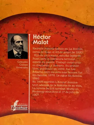 En Familia / Hector Malot