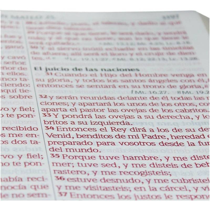 Santa Biblia Reina Valera 1960 Letra Super Gigante Rosa