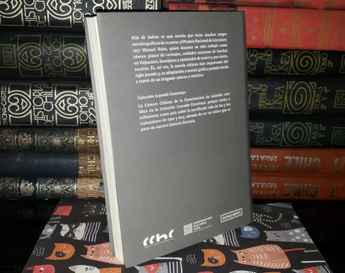 Hijo De Ladron (la Novela Grafica) / Manuel Rojas