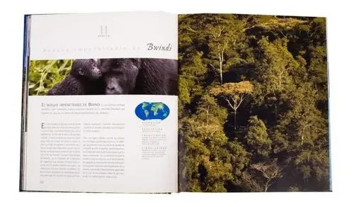 Atlas Ilustrado Bosques Monumentales Del Mundo / Lexus