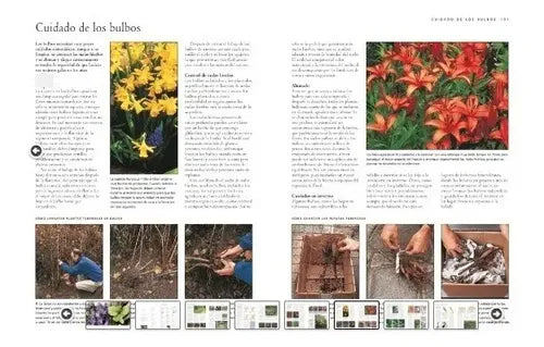 Guia Práctica De La Jardinería / Jonathan Edwards