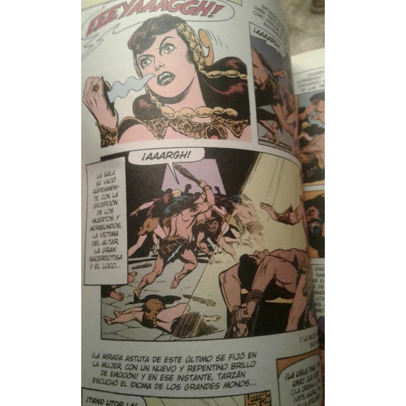 Tarzan Clasicos Del Comic / Edgar Rice