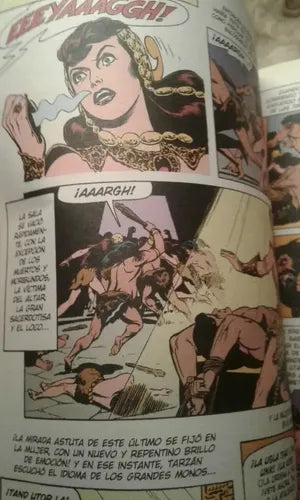 Tarzan Clasicos Del Comic / Edgar Rice