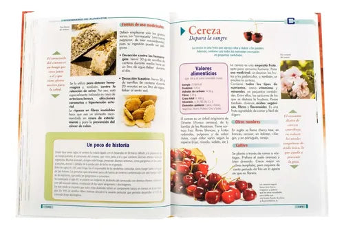 Los Alimentos Y Sus Poderes Sanadores / Lexus