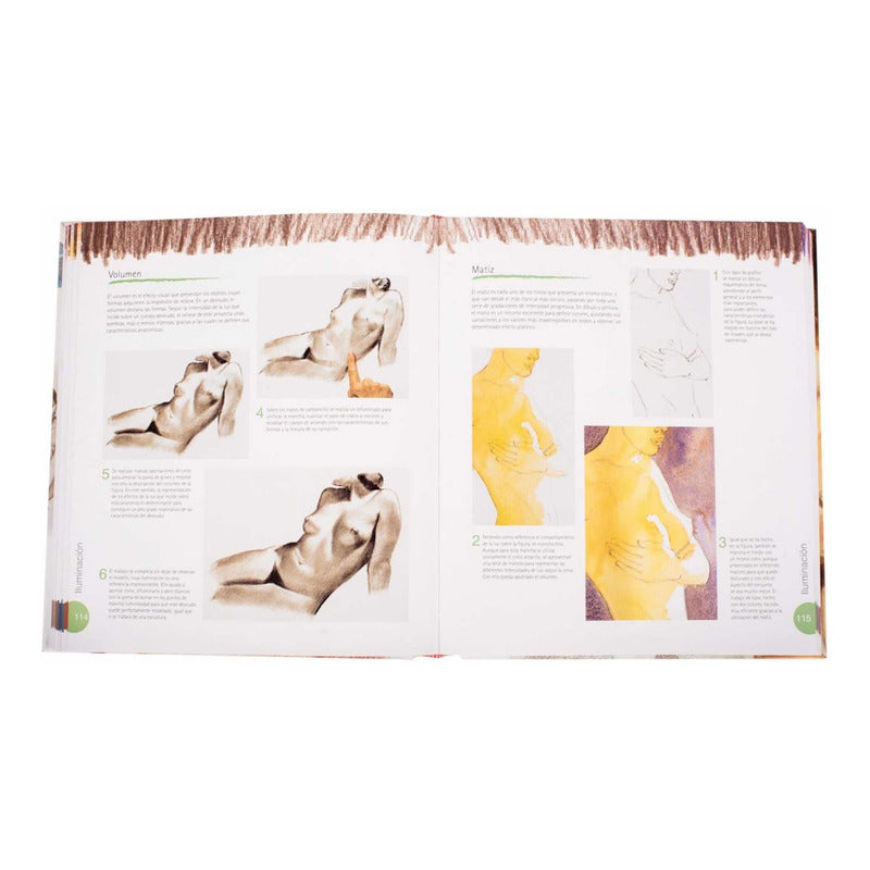 Atlas Ilustrado Dibujo Pintura El Desnudo / Susaeta