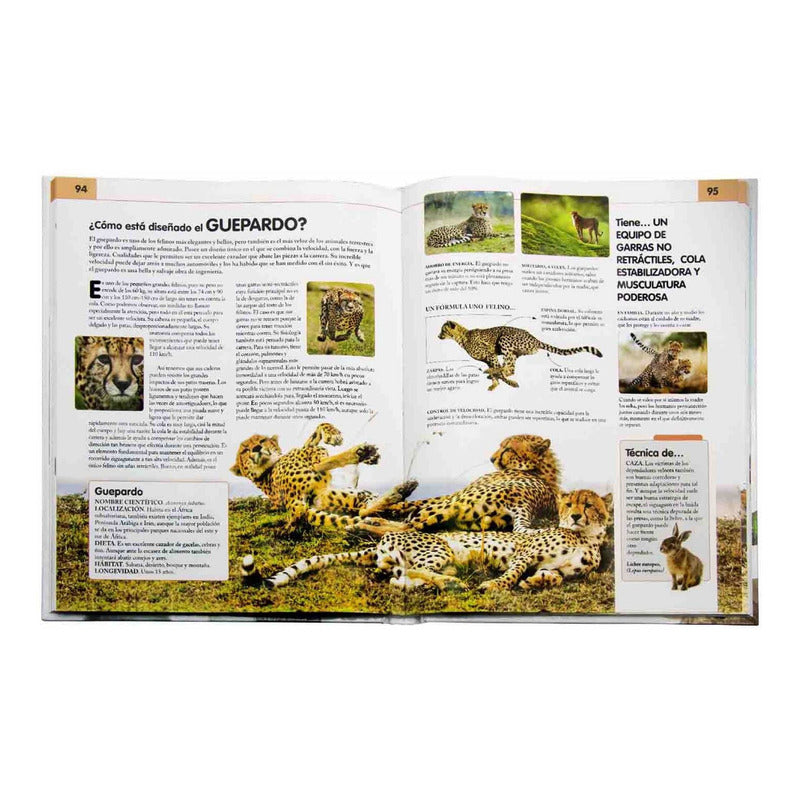 Comportamiento Del Reino Animal (tapa Dura) / Nuria Penalva