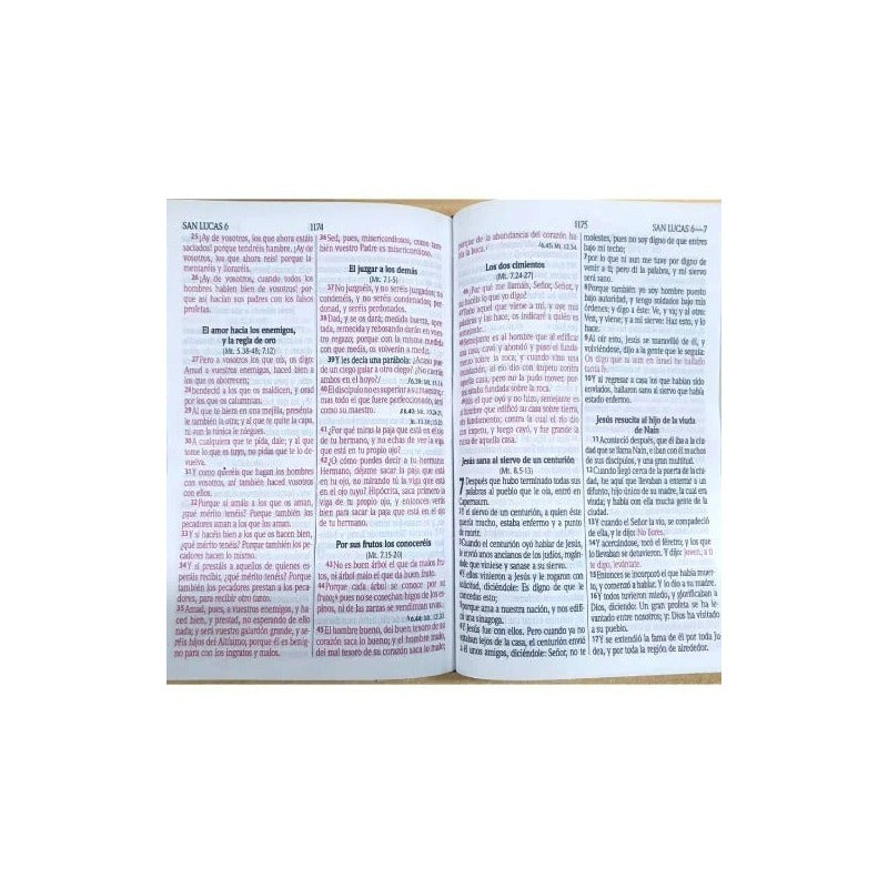 Santa Biblia Rvr 1960 Letra Grande Concordancia Palabra Rojo