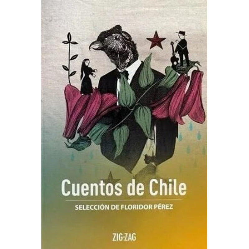 Cuentos De Chile / Floridor Perez
