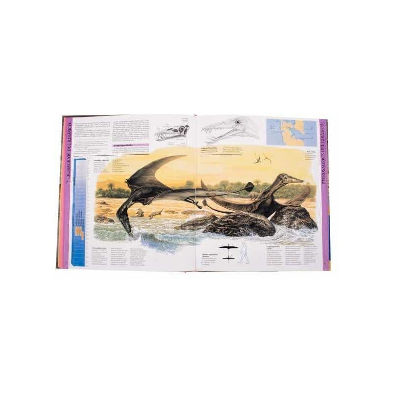 Atlas Ilustrado De Los Dinosaurios Voladores Pterosaurios