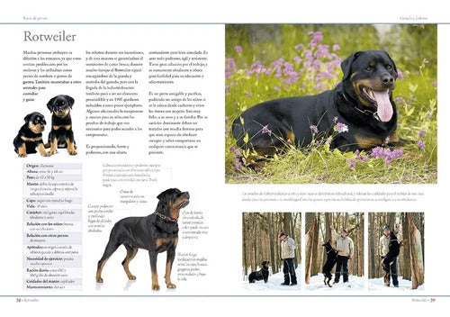 Enciclopedia De Las Razas De Perros (tapa Dura) / C.m. Comps