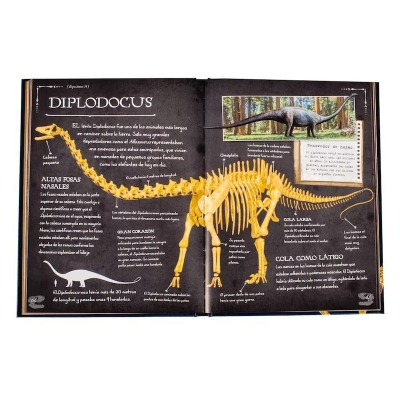 Colección De Huesos Dinosaurios (tapa Dura) / Lexus