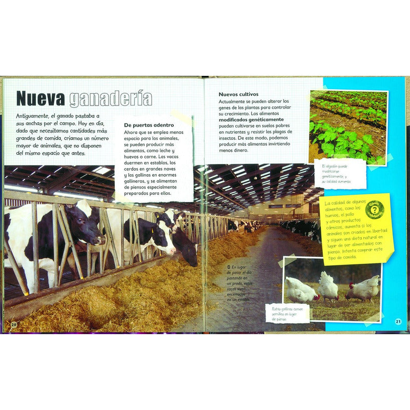 Recursos Naturales (s.o.s.planeta Tierra) / Susaeta