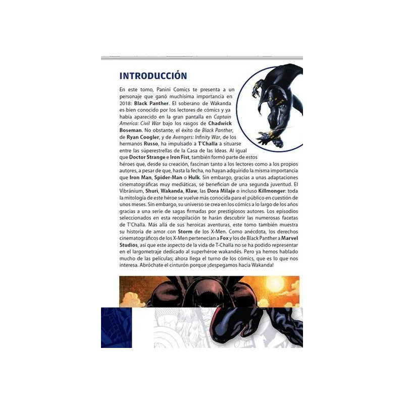 Black Panther Comic Super Heroes Collection / Marvel