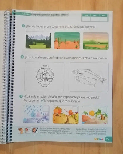 Cuaderno De Actividades Kinder / Sopena