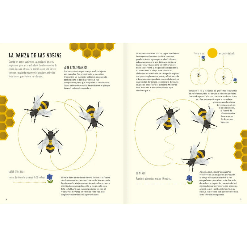 El Mundo De Las Abejas (tapa Dura) / Cristina Banfi