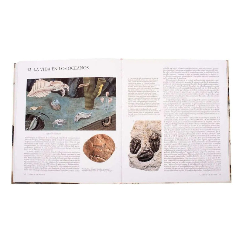 Atlas Ilustrado De El Origen De La Vida (tapa Dura) / Lexus