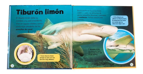 Mi Pequeño Libro De Tiburones / Lexus
