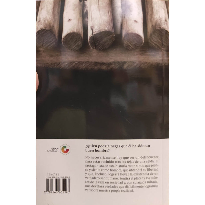 Yo, Simio / Sergio Gomez