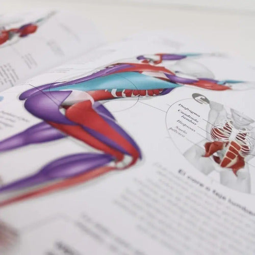 Dk Anatomia Del Yoga (tapa Dura) / Ann Swanson