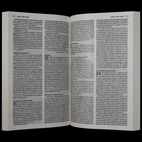 Biblia Reina Valera Contemporanea