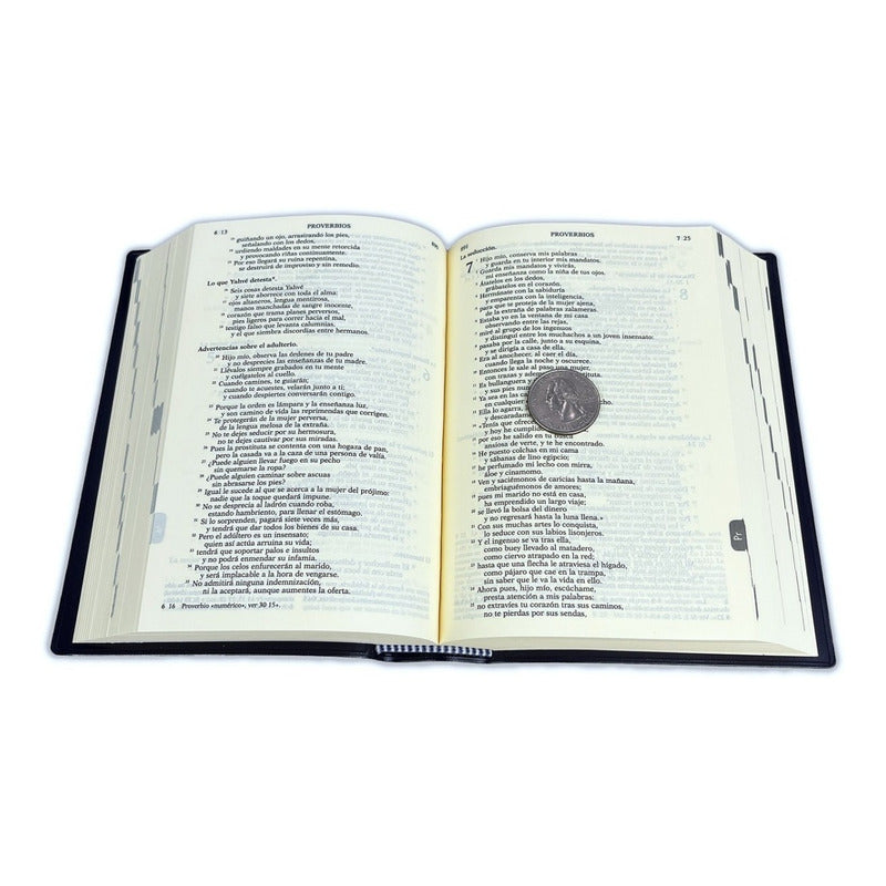 Nueva Biblia De Jerusalen / Desclee