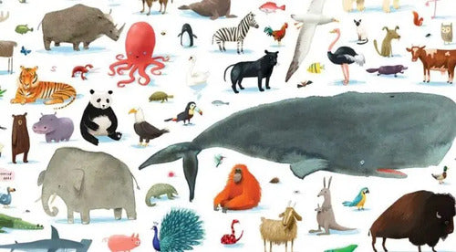 Aquí Estamos (tapa Dura) / Oliver Jeffers