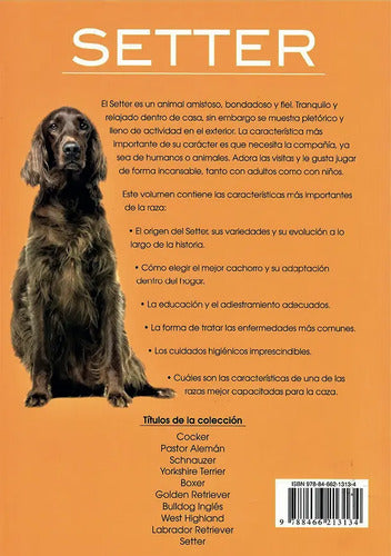 Setter / Javier Villahizan