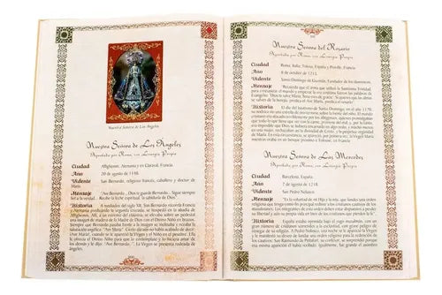 El Gran Libro De La Virgen (tapa Dura) / Lexus