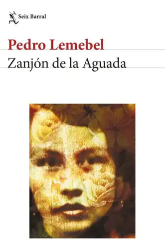 Zanjón De La Aguada / Pedro Lemebel