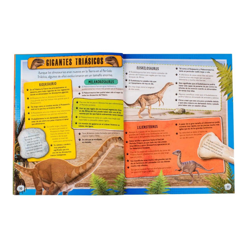 501 Hechos De Dinosaurios Incluye Moldes + Stickers / Lexus