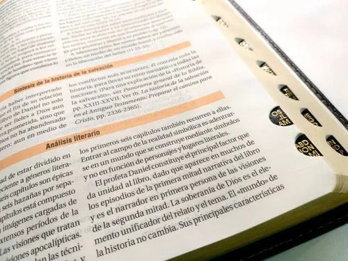 Biblia De Estudio Teológico Reina Valera 1960