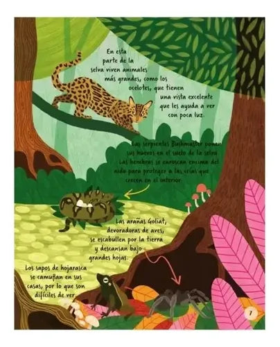 Exploremos Los Animales De La Selva (tapa Dura) / Lexus