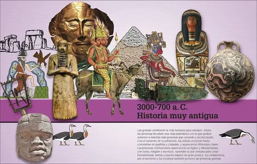 Dk Enciclopedia Historia Año A Año (tapa Dura)