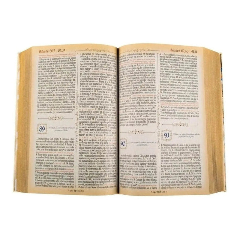 Sagrada Biblia Dorada Mediana (tapa Dura) / Lexus