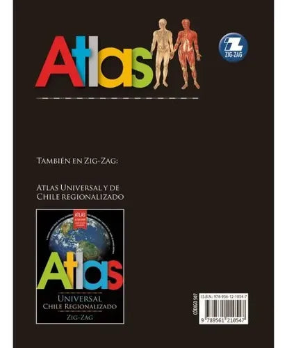 Atlas Del Cuerpo Humano / Zig-zag