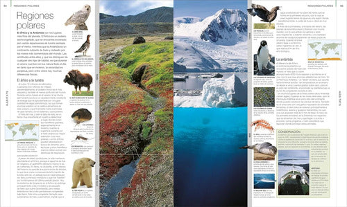 Dk Animal La Guia Visual Definitiva (tapa Dura)